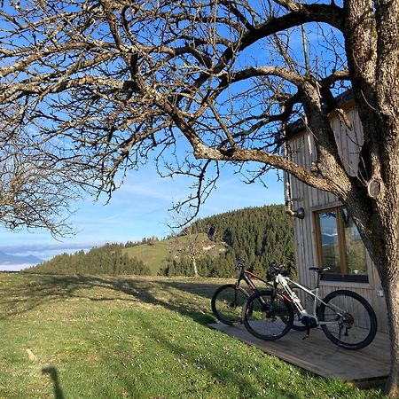 Tiny House Villa Mislinja Exterior photo
