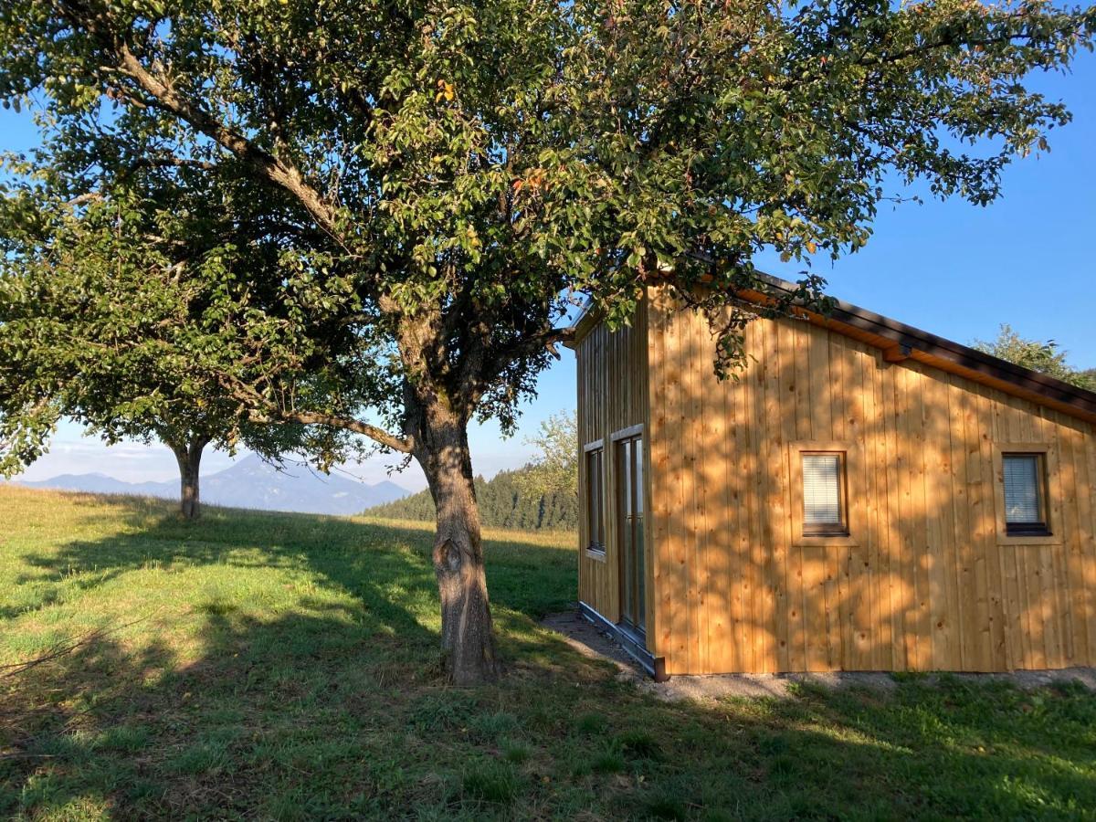 Tiny House Villa Mislinja Exterior photo